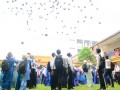Tn 237 DSC 3141